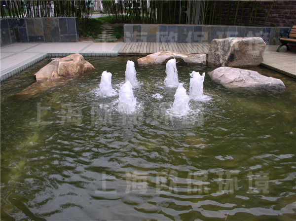 人工湖水处理