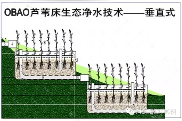 芦苇床生态净水系统 芦苇床生态净水系统