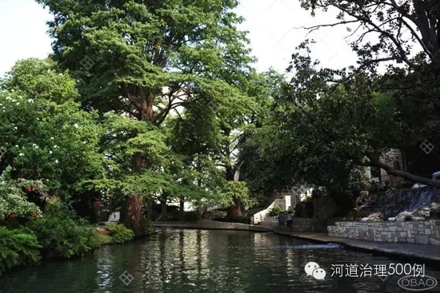 河两岸绿树成林 河两岸绿树成林