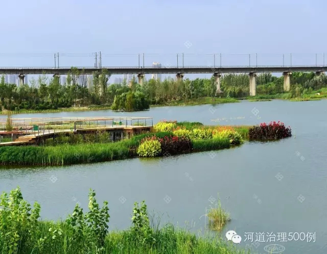 渭河陕西段生态治理 渭河陕西段生态治理