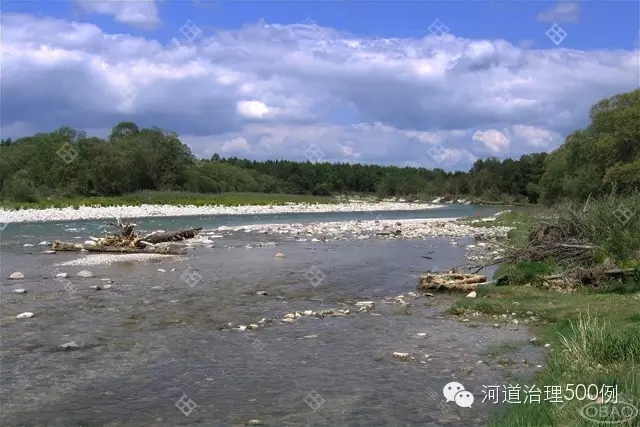 朽木阻流 朽木阻流