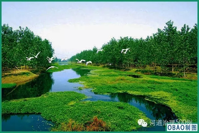 鸟跃人景美,河清绿波蓝 鸟跃人景美,河清绿波蓝