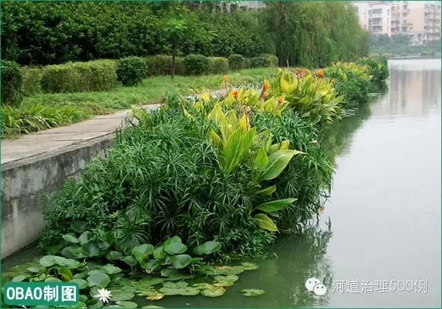 浮田型生态浮岛构建沿河植物景观净水带 浮田型生态浮岛构建沿河植物景观净水带