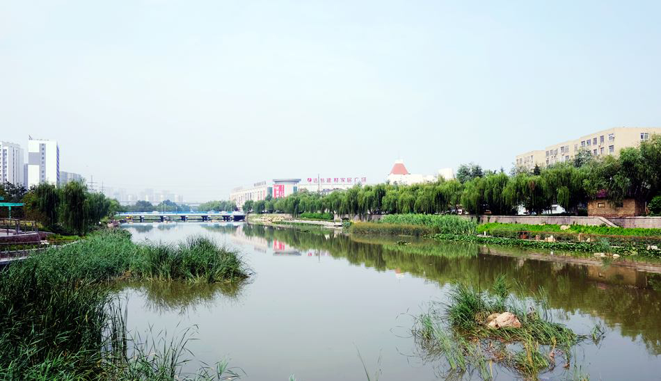 李村河君峰路至峰山路段竣工 变身"水印绿廊"
