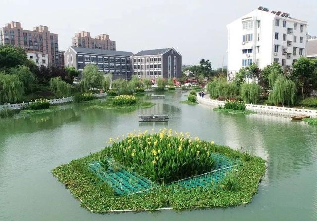 整治河道水环境 建设和谐新农村 欧保太阳能曝气机与生态浮岛 整治河道水环境 建设和谐新农村 欧保太阳能曝气机与生态浮岛