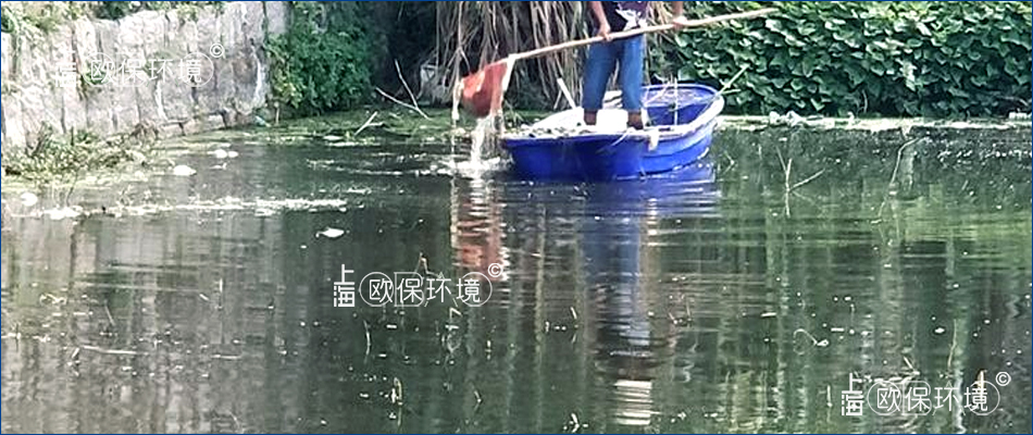 漂浮的浮泥、藻团、浮灰人工打捞基本无效 漂浮的浮泥、藻团、浮灰人工打捞基本无效