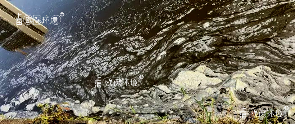 水面聚集浮沫 水面聚集浮沫