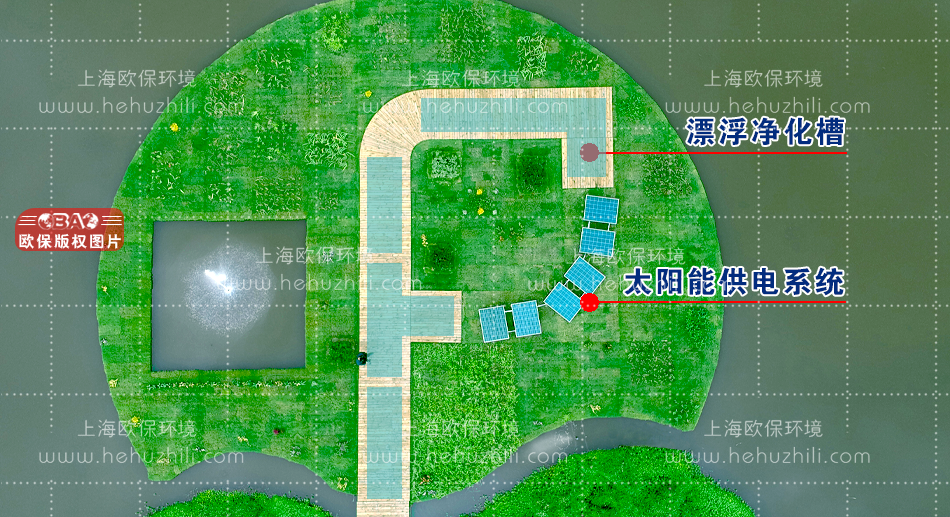 浮动湿地 浮动湿地