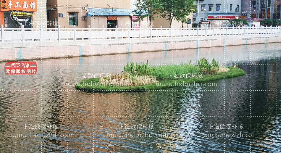浮动湿地 浮动湿地