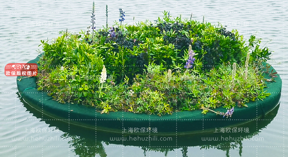 浮动湿地 浮动湿地