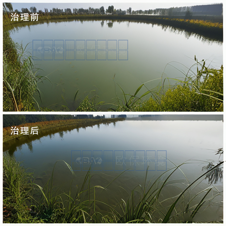 锁磷剂 锁磷剂