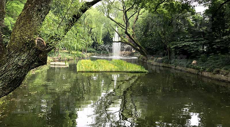 浮田型漂浮湿地（浮动湿地）应用于河道&mdash;&mdash;全覆盖减少人工痕迹，更生态自然