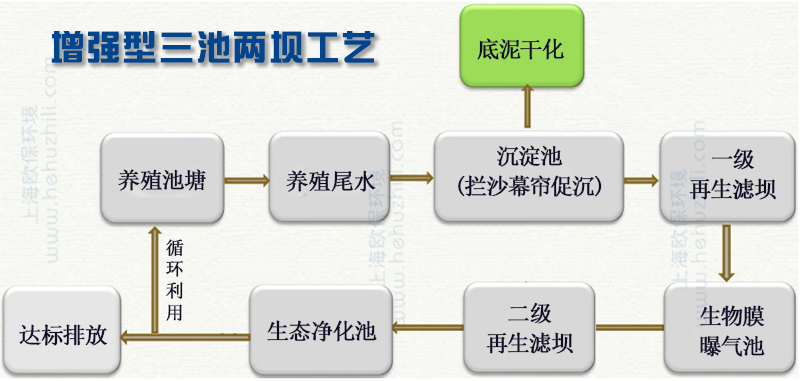 增强型三池两坝工艺包括：促沉沉淀池，生物膜曝气池、含有生境填料的生态净化池以及配套的2道可再生滤坝。